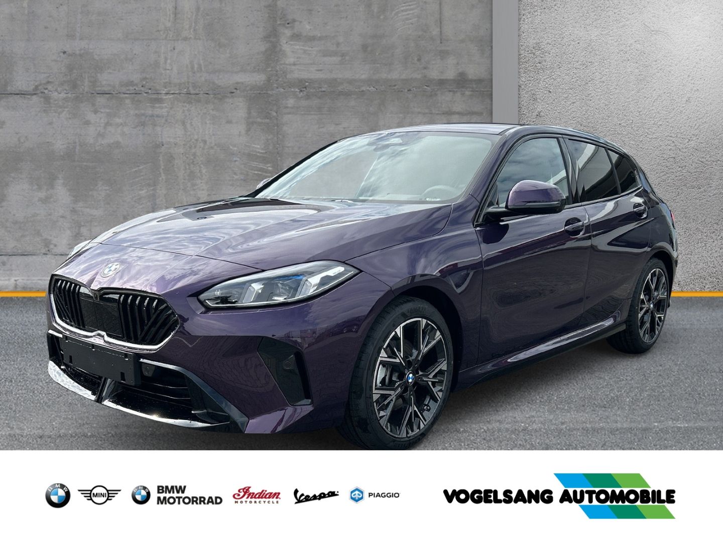 Abbildung Model BMW 116i M Sport
